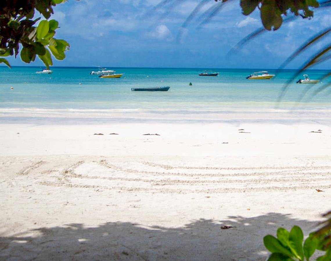 Weißer Sandstrand mit mehreren Booten im Wasser und grünen Bäumen im Vordergrund.