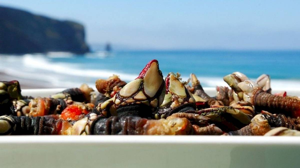 Meeresfrüchte wie Krabben und Muscheln in einer weißen Schüssel am Strand des Ancora Park Hotels
