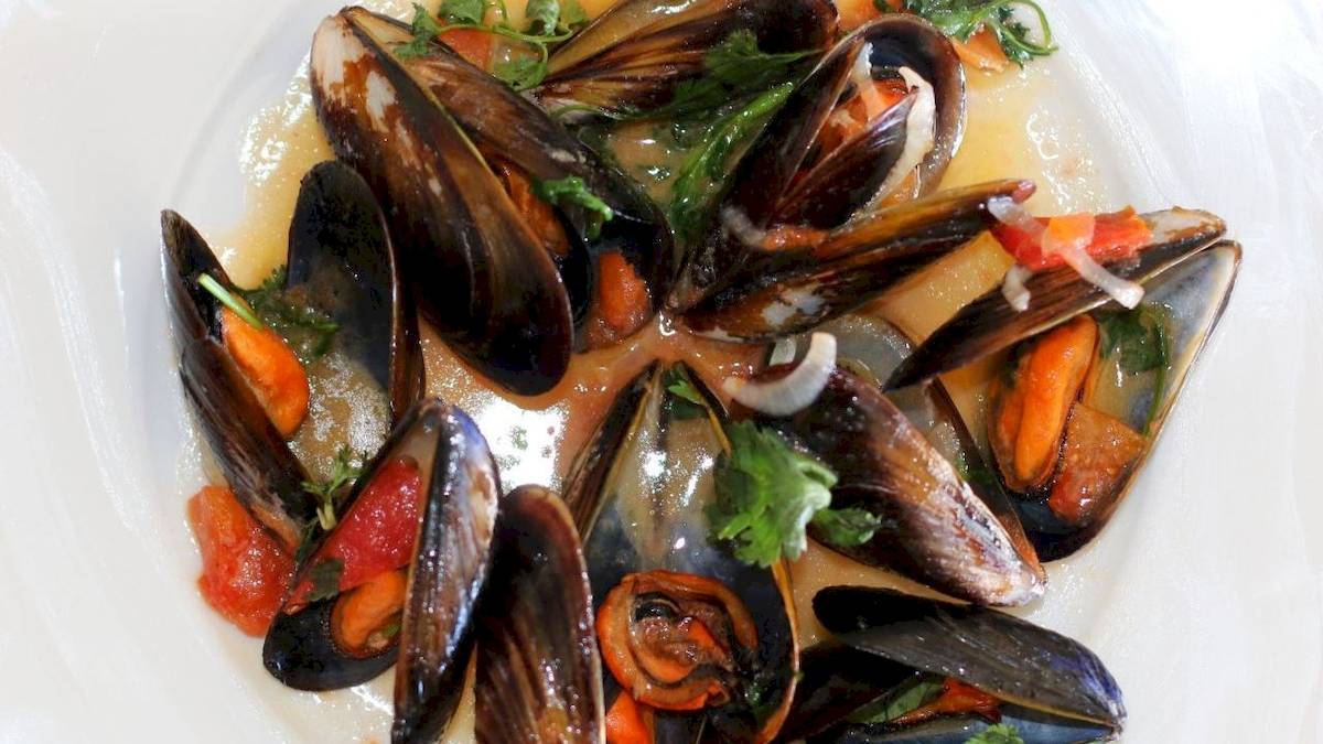 Nahaufnahme von gekochten Muscheln in einer Sauce auf einem weißen Teller.