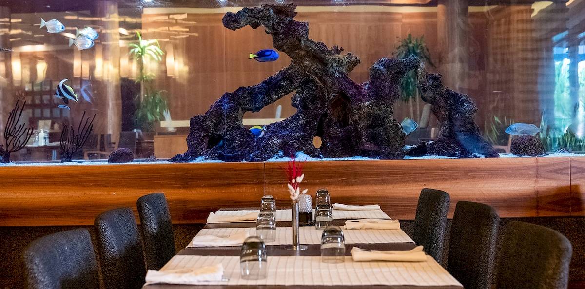 Restauranttisch vor einem großen Aquarium mit Fischen und Pflanzen im Gloria Serenity Resort.