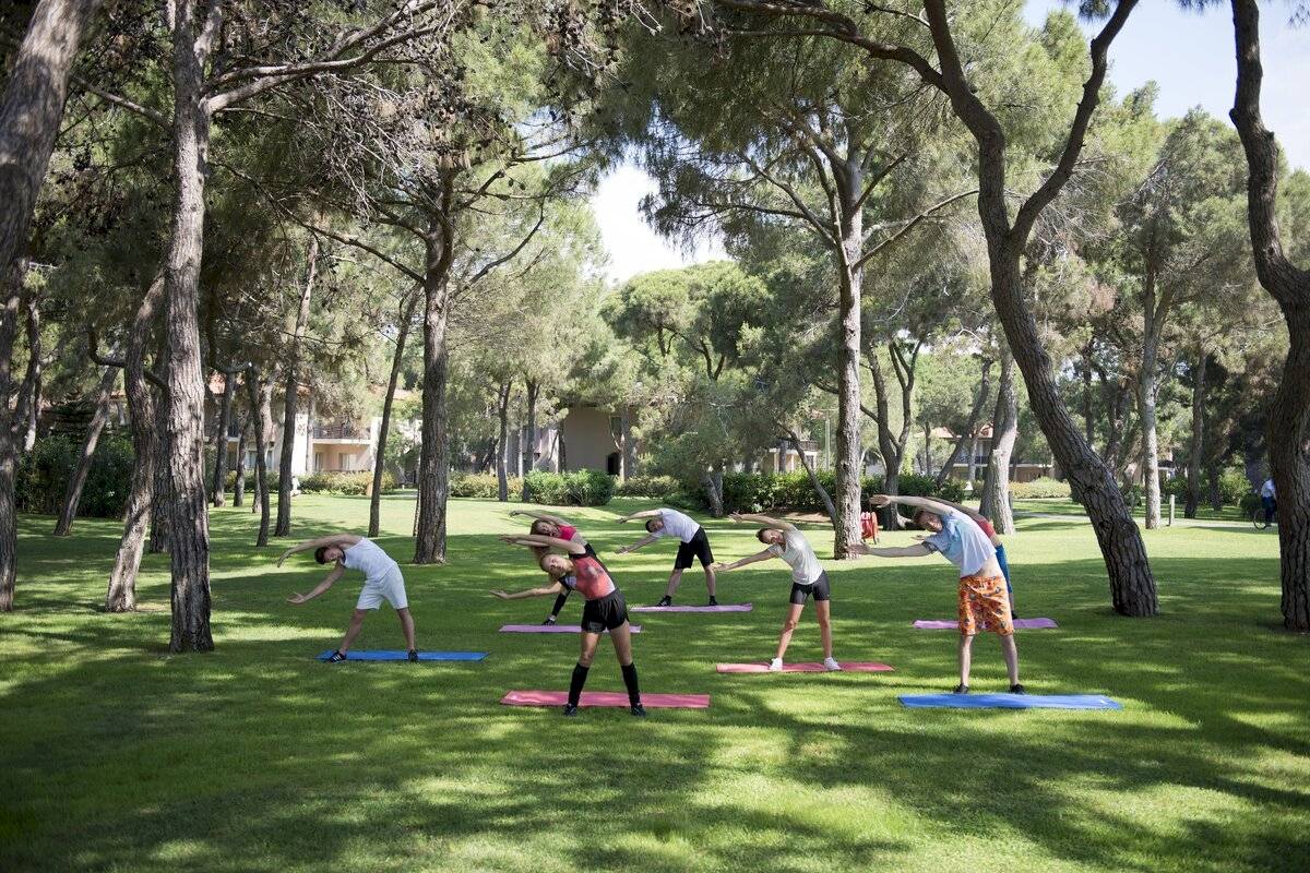 Ein Yoga-Kurs im Park unter Bäumen mit mehreren Personen, die Yoga-Matten benutzen.