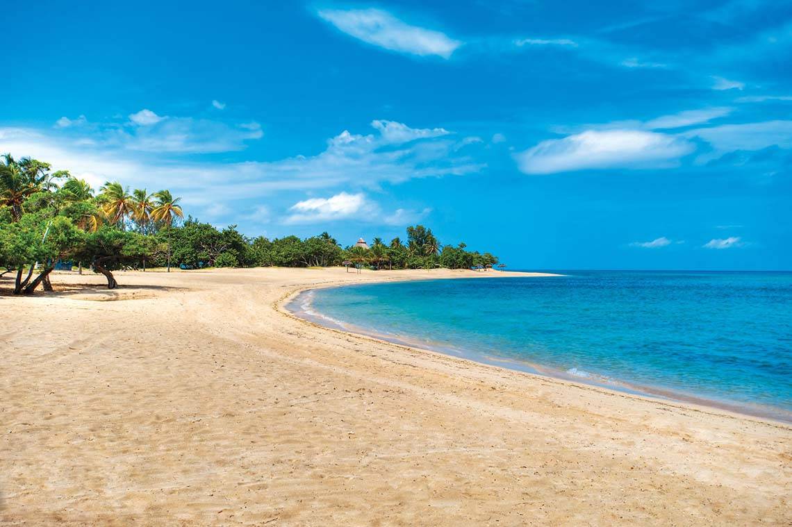 Strand mit weißen Sand, blauem Wasser und grünen Palmen unter einem blauen Himmel.