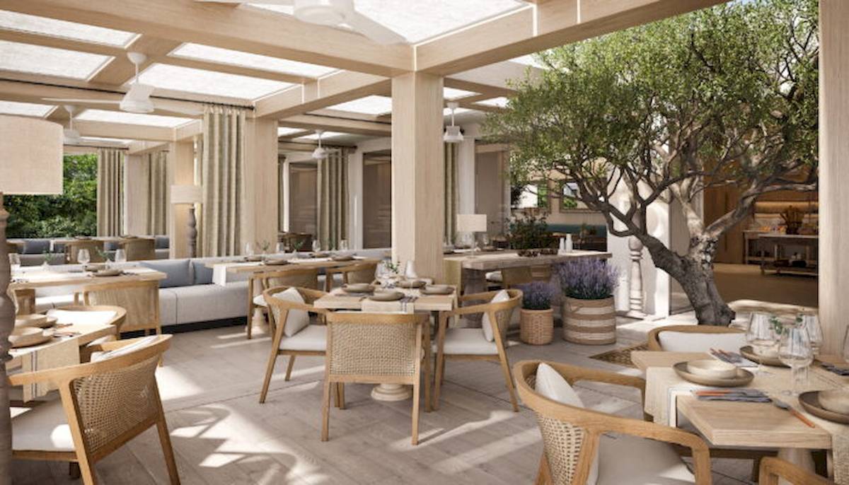 Innenbereich des Ikos Olivia Restaurants mit Holztischen, Stühlen und einer großen Pflanze.