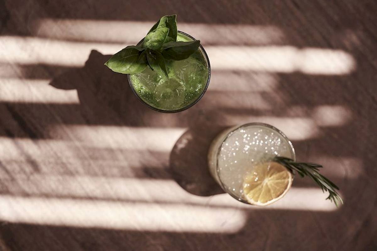 Zwei Cocktails mit Zitrone und Basilikum auf einem Tisch