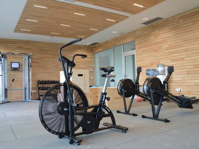 Fitnessstudio im Seth 55 Santo Tomás Hotel mit verschiedenen Trainingsgeräten und Holzwänden.