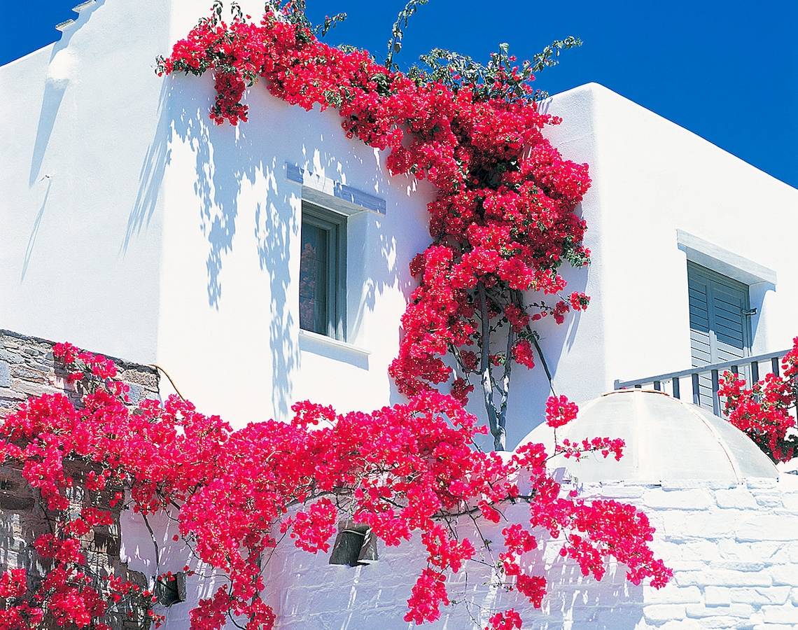 Yria Island Boutique Hotel & Spa in Santorin