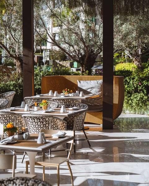 Restaurant-Terrasse des Savoy Palace Hotels mit Tisch und Stühlen, umgeben von Bäumen und Pflanzen.