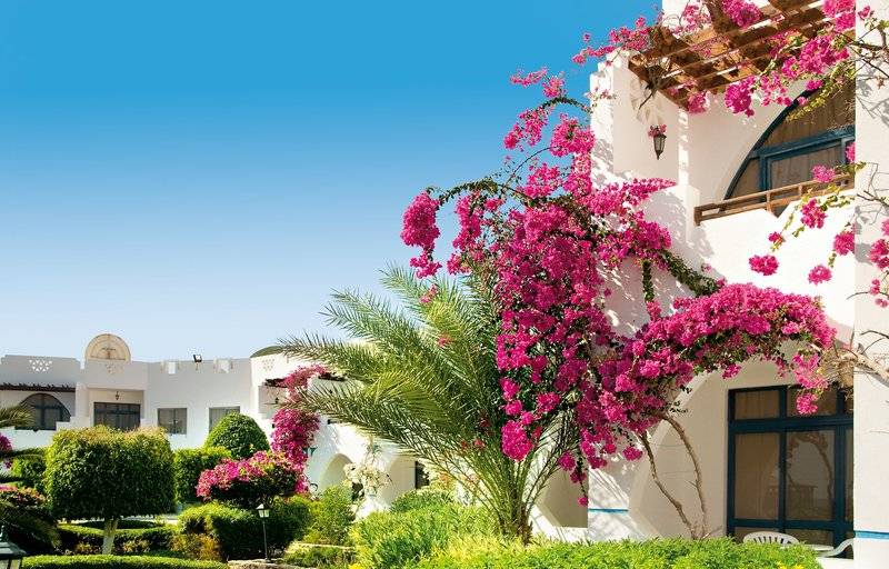 Three Corners Equinox Beach Resort - Marsa Alam