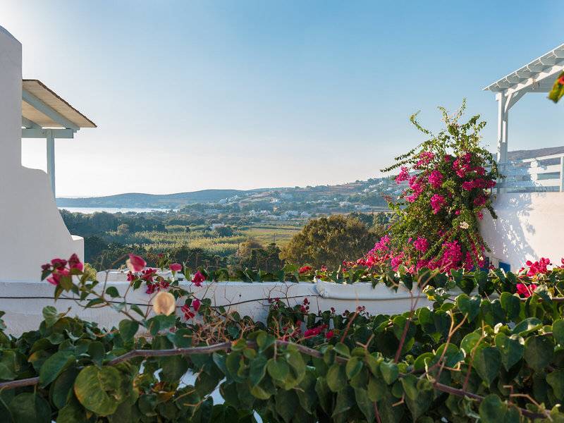 Aussicht vom Pyrgaki Hotel auf eine ländliche Landschaft mit Blumen und Meer im Hintergrund.