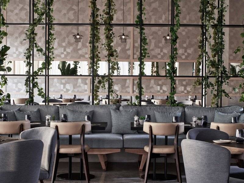 Innenbereich des Mare Paphos Hotels mit grünen Pflanzen an der Wand und modernen Möbeln.
