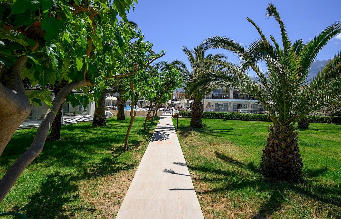 Vantaris Palace - Georgioupolis, Kreta