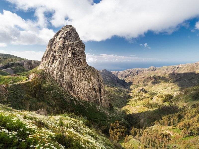Aussicht auf einen Berg mit Blumen und einer Straße im Tal