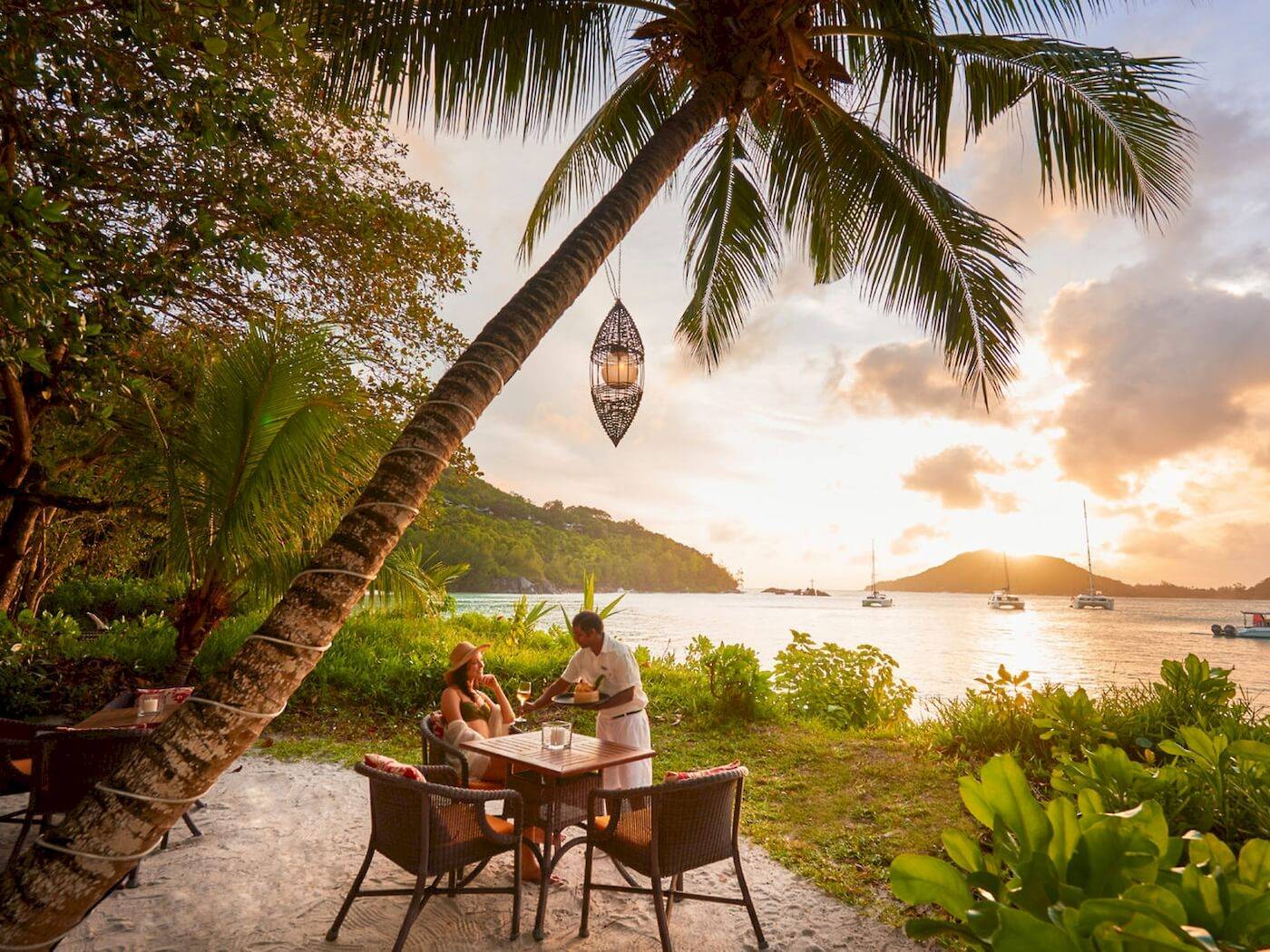Mann serviert abendessen unter einer palme im constance ephelia resort