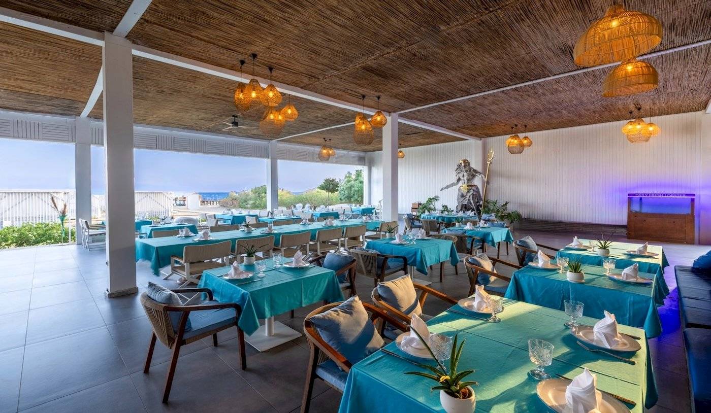 Innenbereich des Nirvana Cosmopolitan Hotels, Restaurant mit blauen Tischen und Stühlen, dekoriert mit Pflanzen und Lampen.