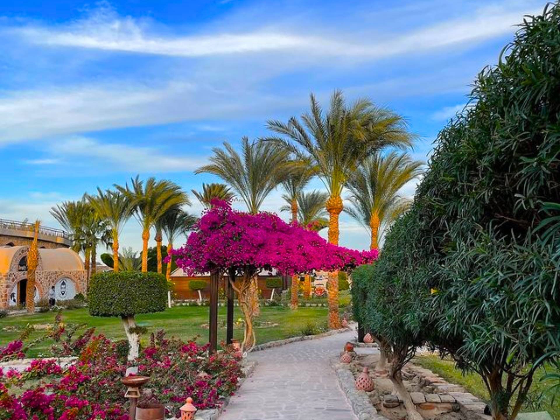 Gartenweg mit bunten Blumen und Palmen zum Utopia Beach Club Hotel.