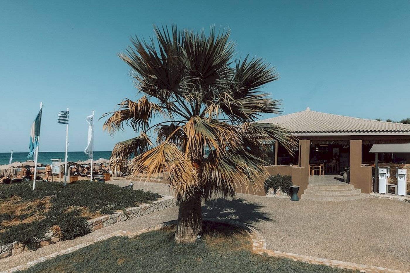 Palme vor dem Eliros Mare Hotel an der Strandpromenade.