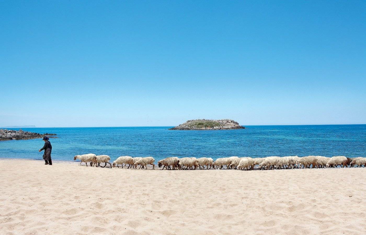 Eine Herde Schafe wird am Strand vor dem Grecotel Meli Palace entlanggeführt.