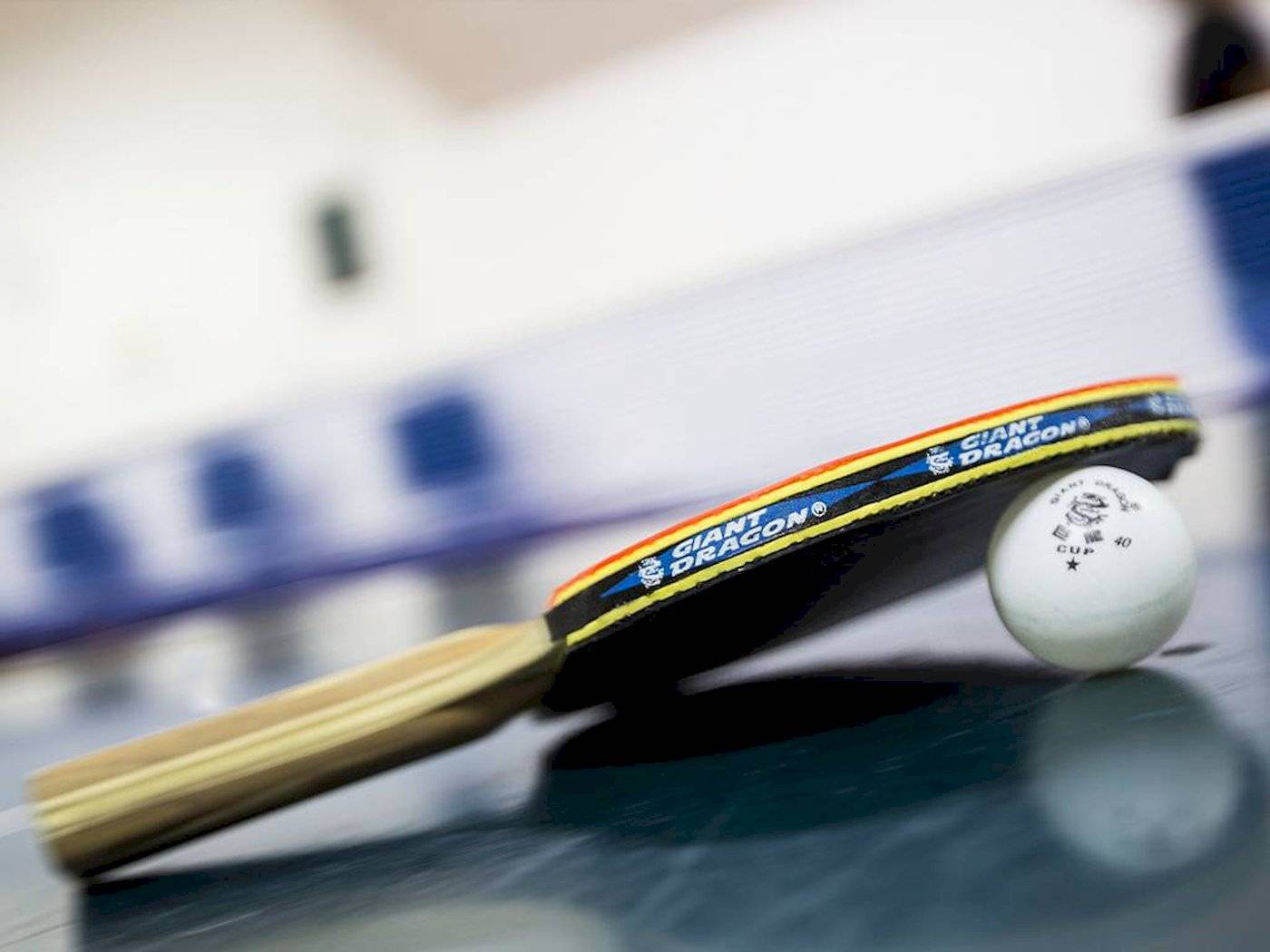 Ping Pong - Table tennis