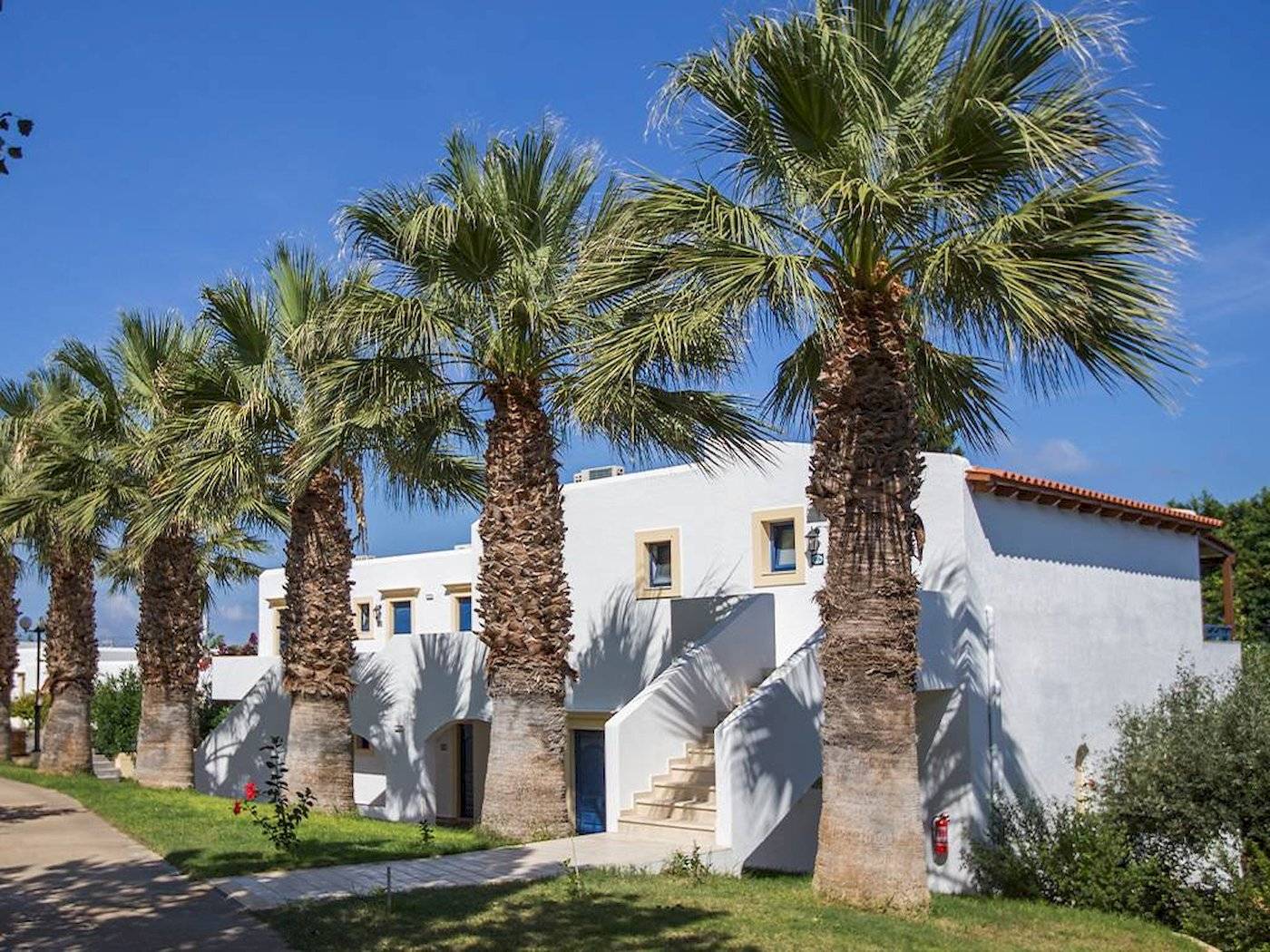 Außenansicht des Chrissi Amoudia Hotels mit weißen Gebäuden und Palmen.