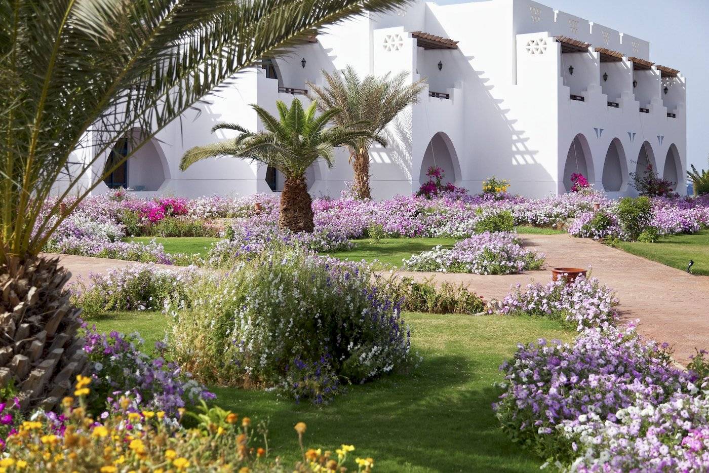 Garten vor dem Three Corners Equinox Beach Resort mit Blumen und Palmen.