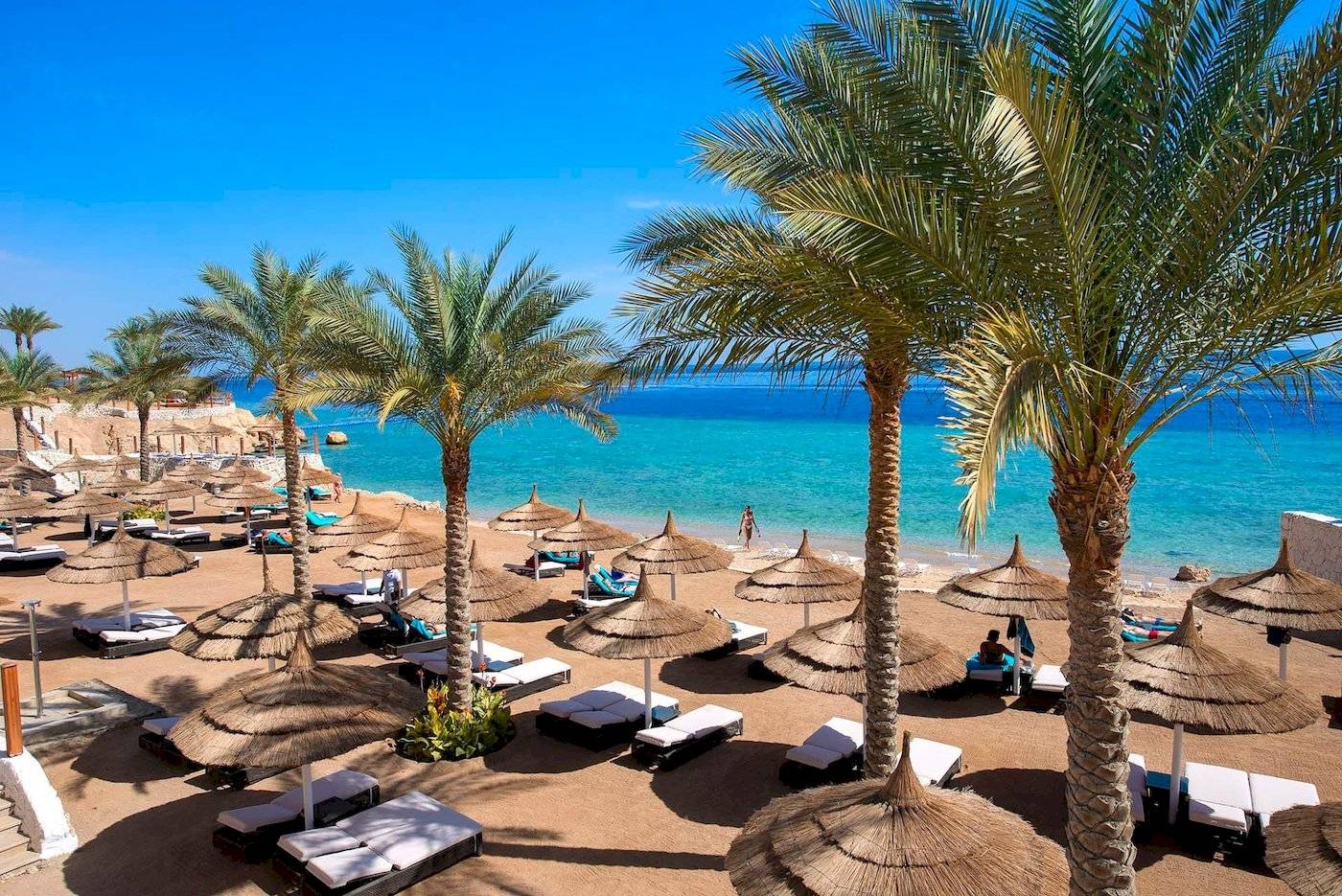 Strandbereich des Sunrise Royal Makadi Resorts mit Palmen, Sonnenliegen und Schirmen.
