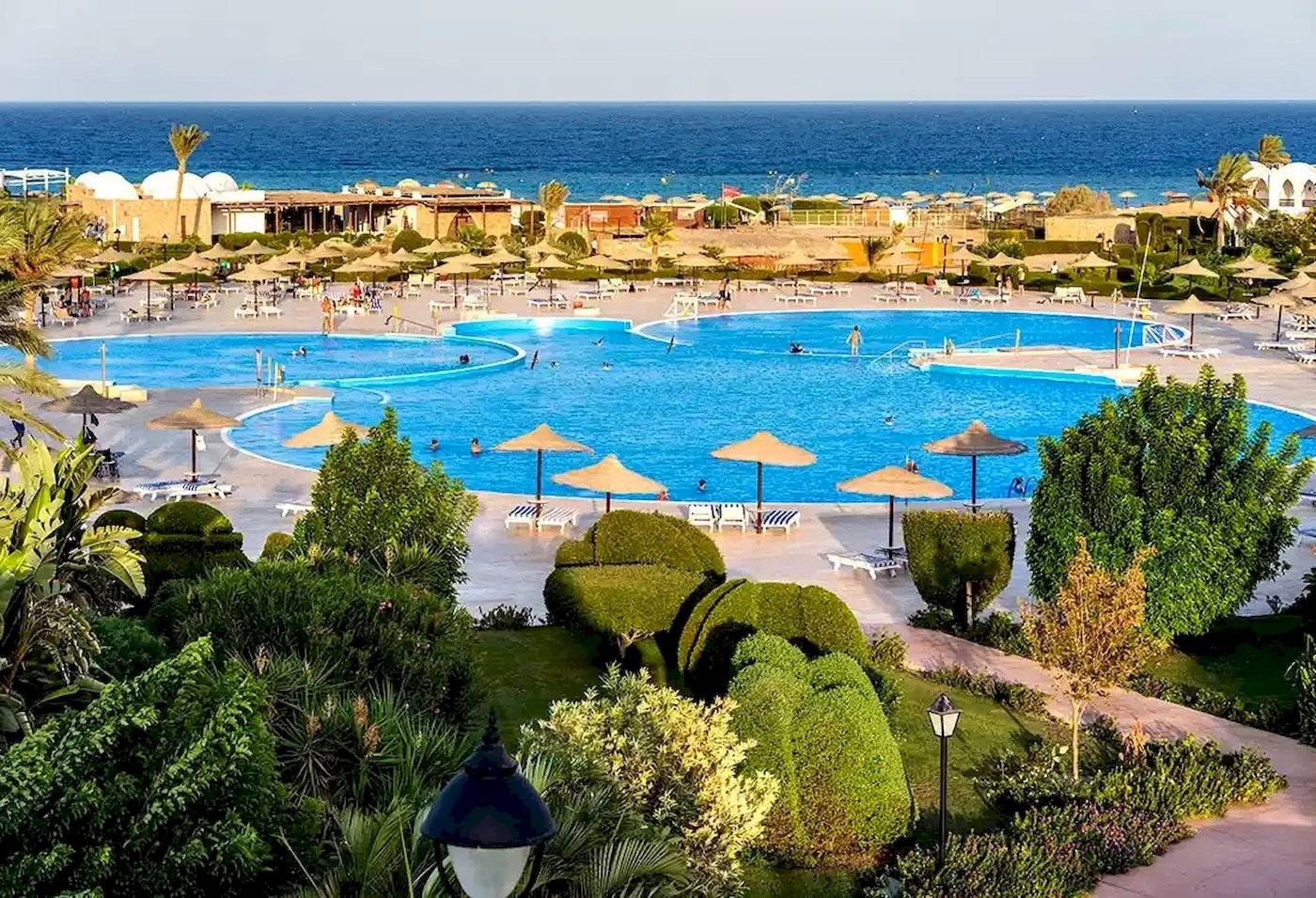 Aussenpool des Gorgonia Beach Resorts mit vielen Sonnenschirmen und Liegen.
