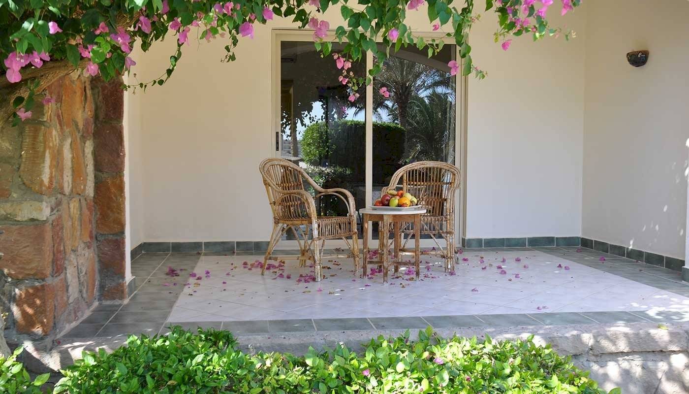 Eine Terrasse mit zwei Stühle und einem Tisch, umgeben von Blumenblättern und Pflanzen.