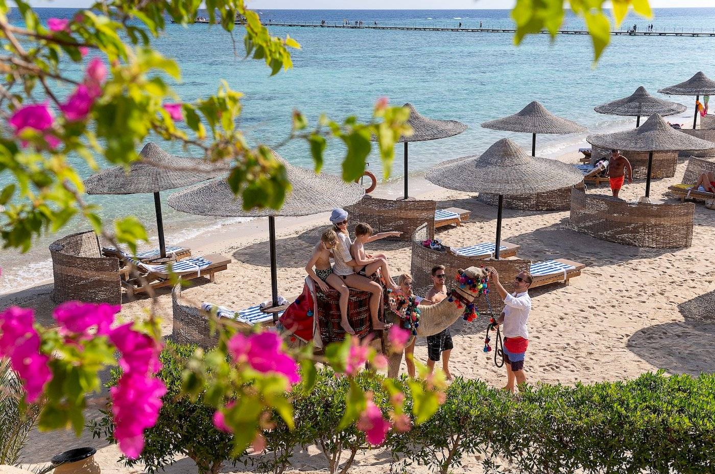 Drei-Ecken-Fayrouz-Plaza-Strand-Resort-Ansicht mit mehreren Gästen, die auf einem Kamel sitzen und eine Person, die es führt.