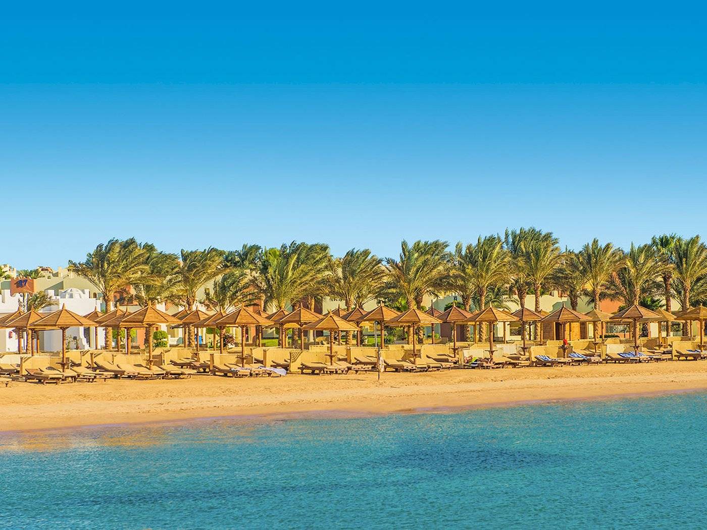 Strand des Sunrise Royal Makadi Resort mit Sonnenliegen und Palmen