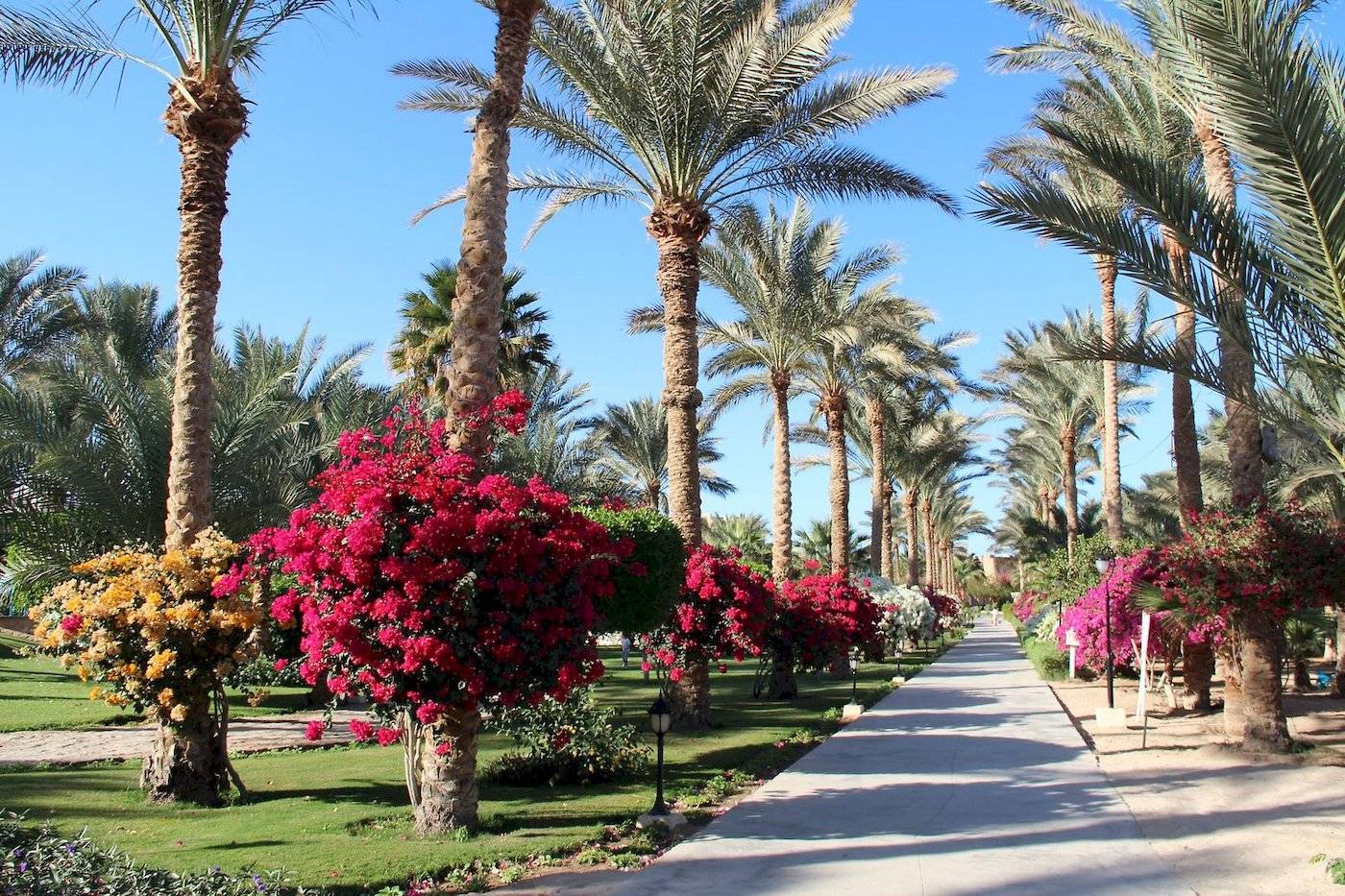Brayka Bay Resort