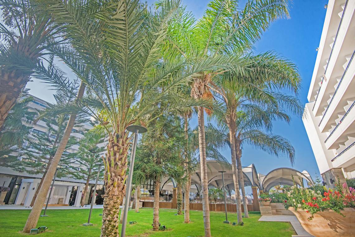 Palmengarten vor dem Adams Beach Hotel mit hellem Himmel im Hintergrund.