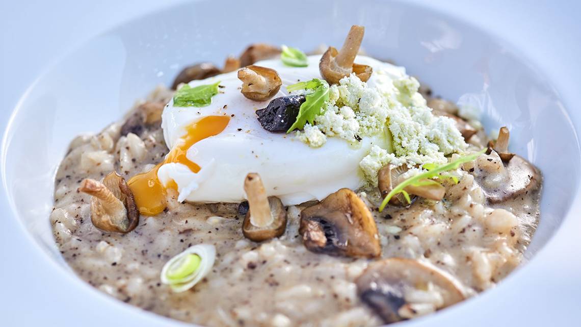 Pilz Risotto mit Ei auf einem weißen Teller serviert, dekoriert mit frischen Kräutern und gewürzt