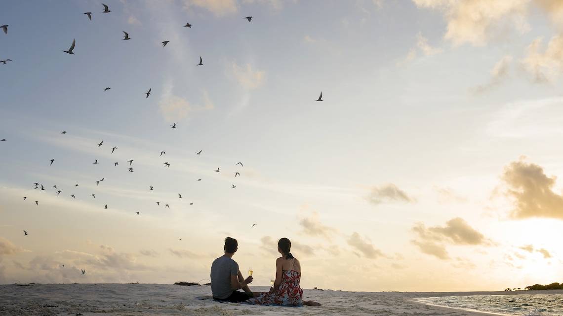 Paar auf dem Strand bei Sonnenuntergang, umgeben von Vögeln im Himmel