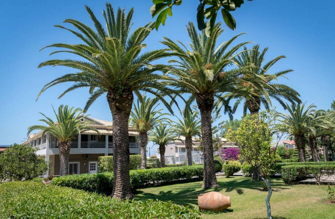 Außenbereich des Acharavi Beach Hotels mit hohen Palmen und Gebäuden im Hintergrund.