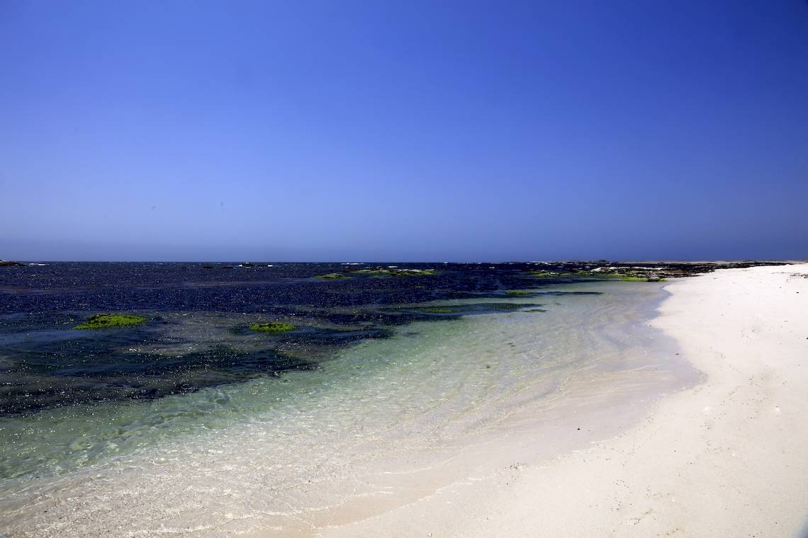 Strand mit klarem Wasser und blauem Himmel, mit grünen Algen im Wasser
