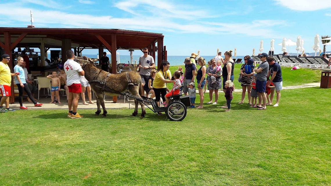 Kiani Beach Resort in Kreta, Sports
