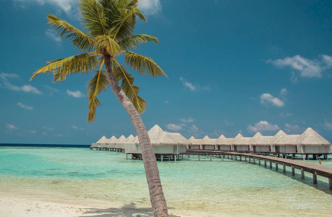 Strandszene mit mehreren Strohdachhütten und einer Palme am Drift Thelu Veliga Retreat.