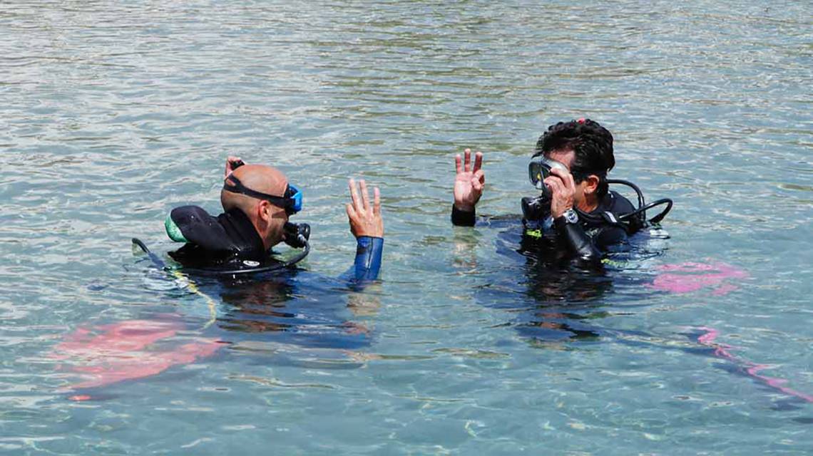 Zwei Taucher im Wasser, einer signalisiert OK und der andere zeigt den Taucherhandzeichen.