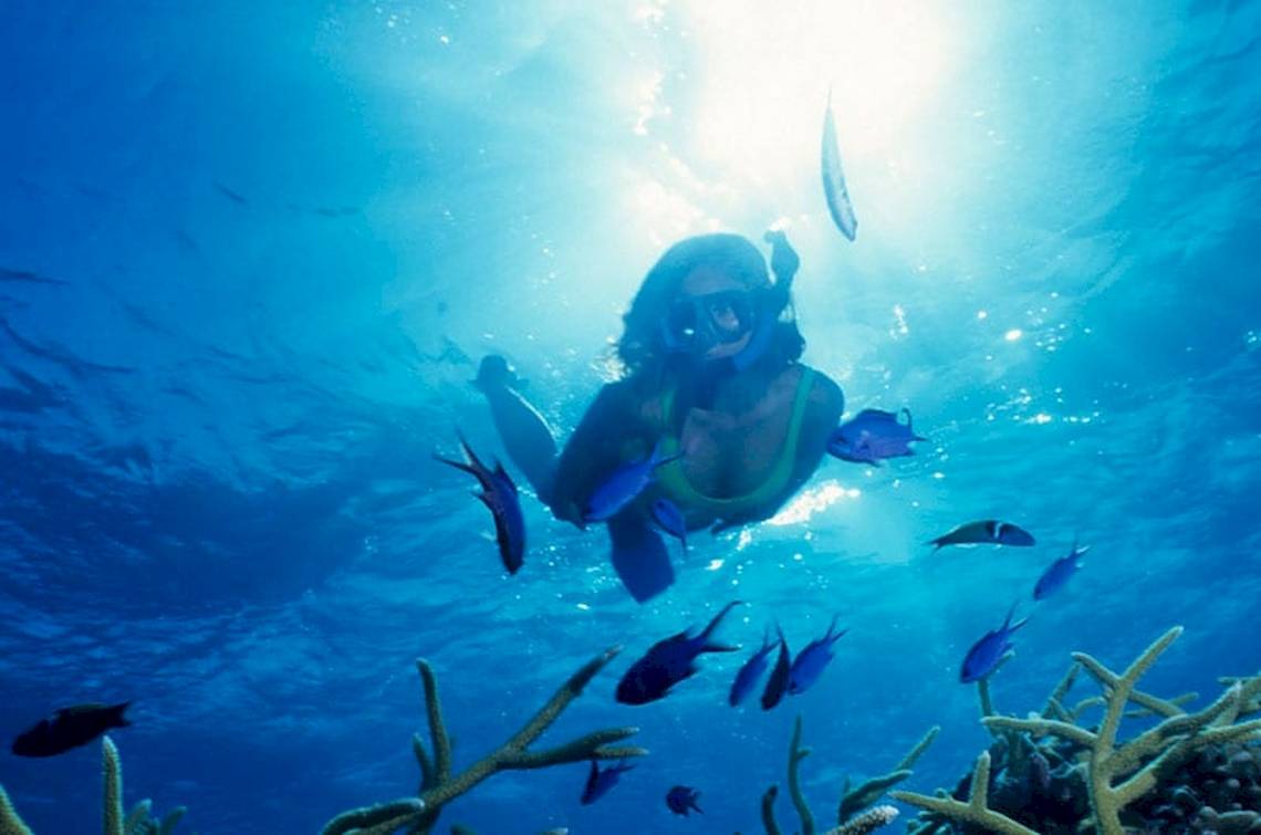 Eine Frau taucht im blauen Meer, umgeben von bunten Fischen und Korallenriffen.