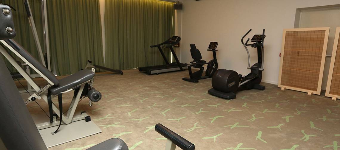 Fitnessstudio im Minos Mare Hotel mit Trainingsgeräten und grünem Bodendesign.