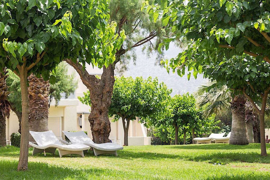 Garten des Cretan Malia Park Hotels mit weißen Liegen und Bäumen