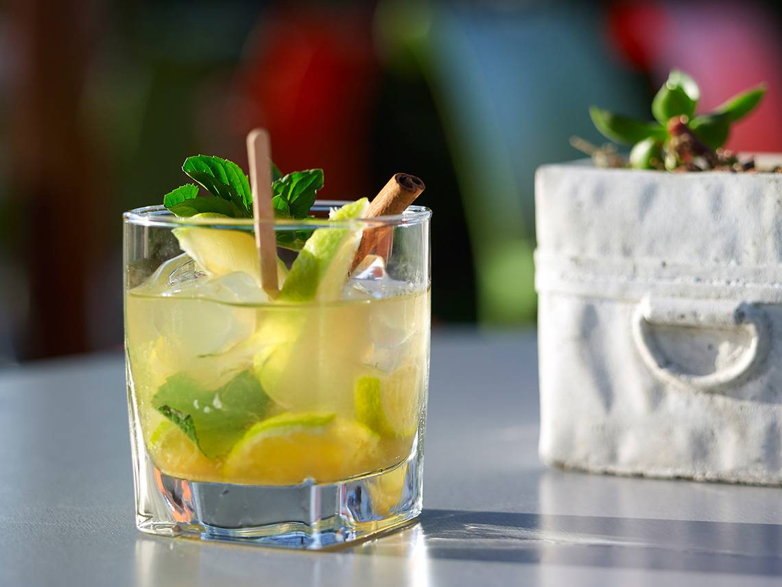 Ein Glas mit einem Cocktail, verziert mit Minzblättern, Zitronenscheiben und einer Zimtstange, neben einer kleinen Pflanze in einem weißen Topf.