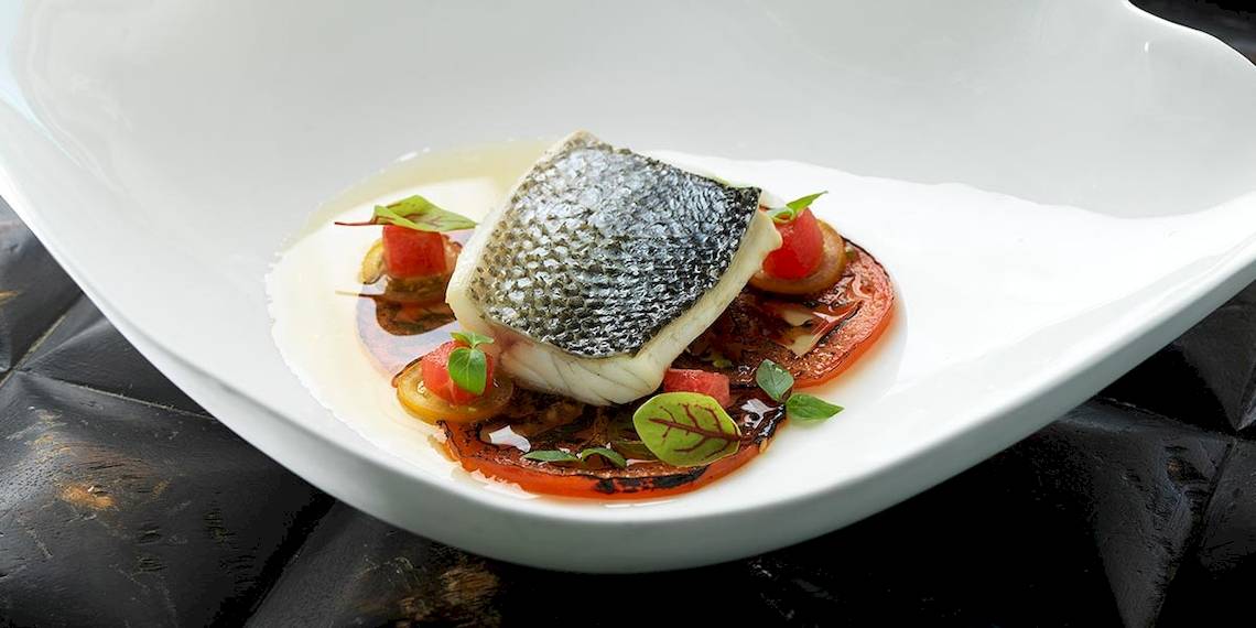 Ein Fischgericht in einem weißen Teller mit Tomaten und grünen Blattgemüse