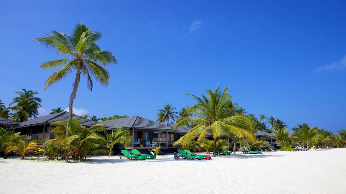 Kuredu Island Resort & Spa mit weißen Stränden und grünen Sonnenliegen