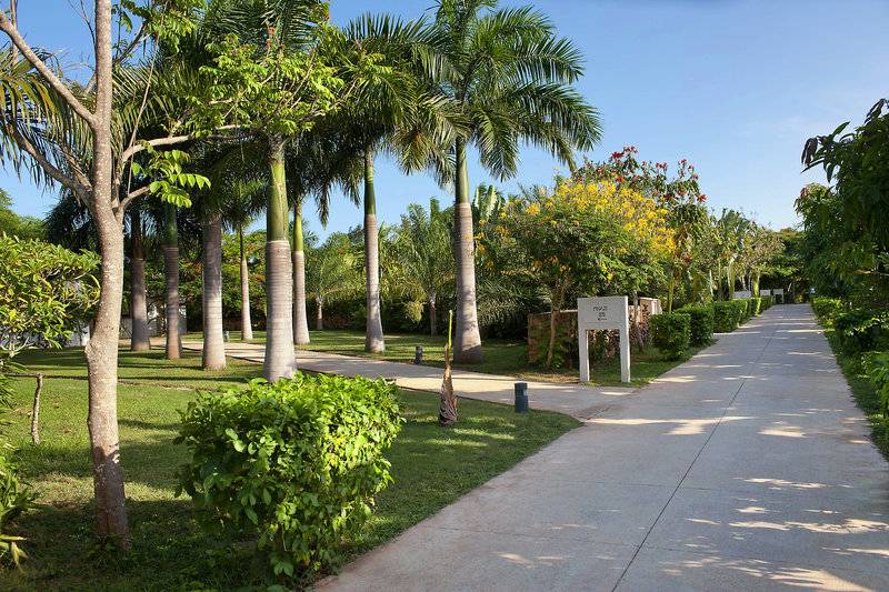 Ein Gartenweg im Melia Zanzibar Hotel mit hohen Palmen und grünen Büschen.