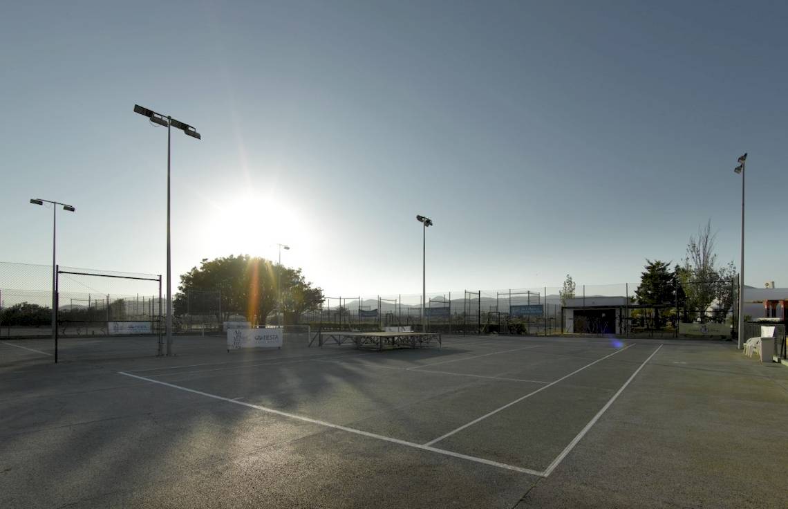 Tennisplatz bei Sonnenlicht mit leeren Spielfeldern, weißen Linien und einigen Bäumen im Hintergrund.