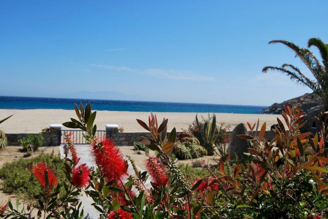 Blick auf einen Strand mit roten Blumen und einer blauen Meerlinie am Sunrise Mykonos Hotel
