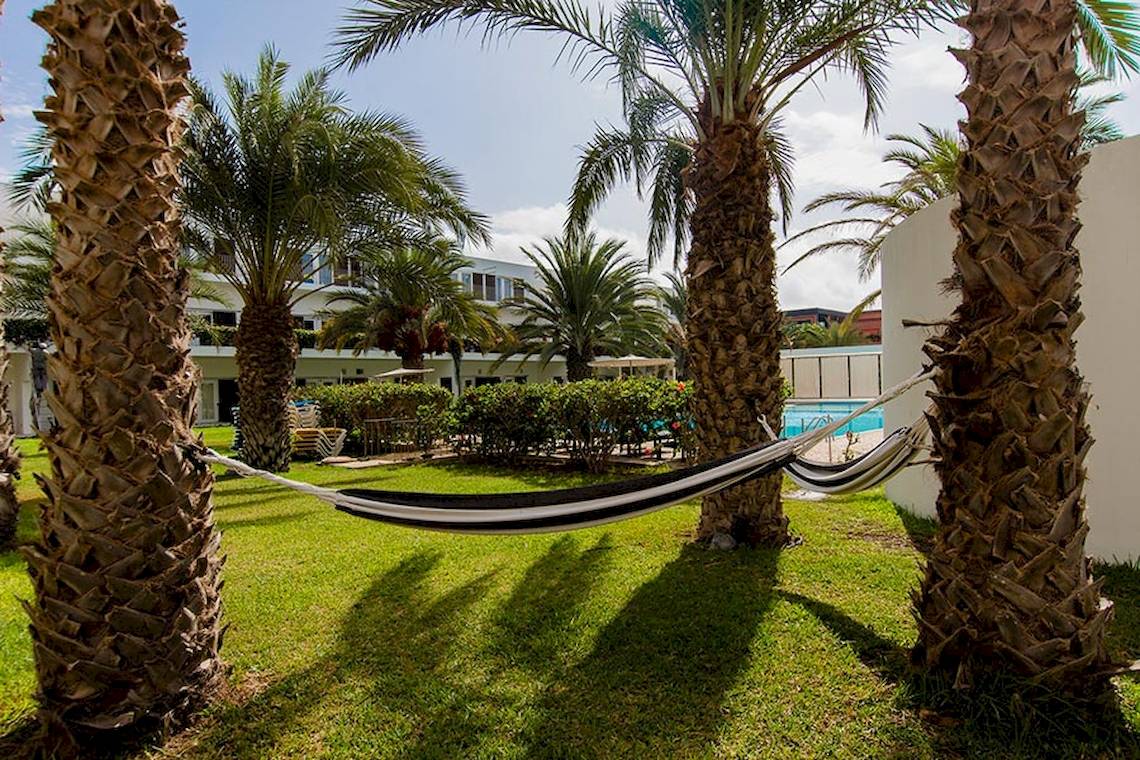 Ein Garten mit einer Hängematte zwischen Palmen, einem Gebäude im Hintergrund und einem Pool.