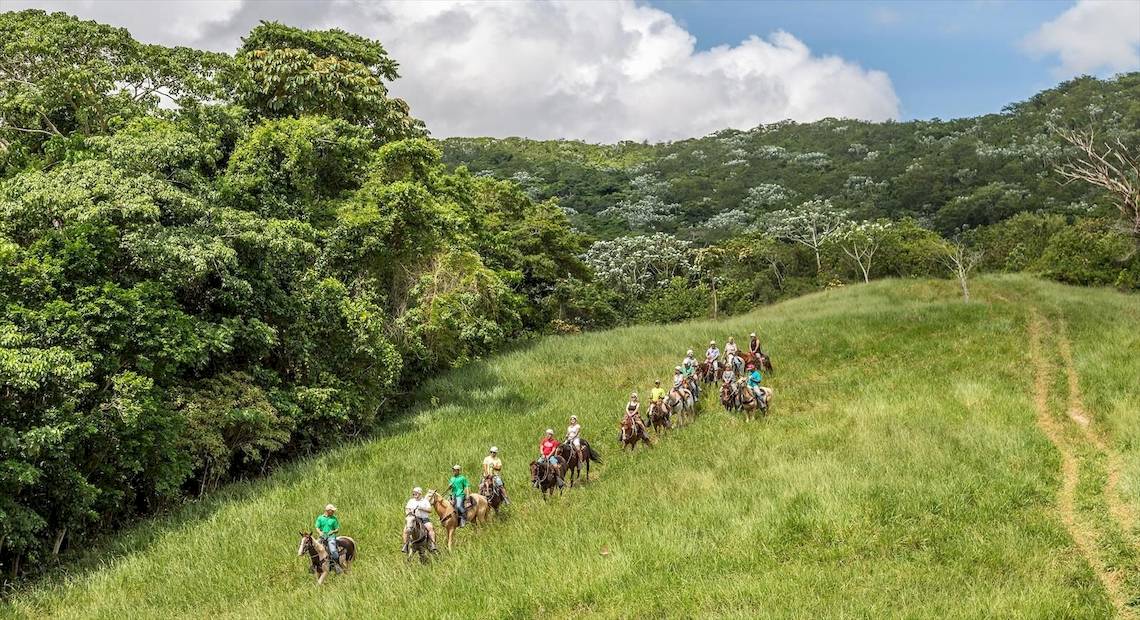 Gruppe von Reitern auf Pferden in einer hügeligen, bewaldeten Landschaft