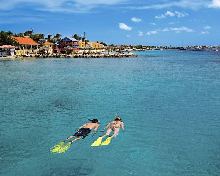 Divi Flamingo Beach Resort and Casino in Aruba & Bonaire